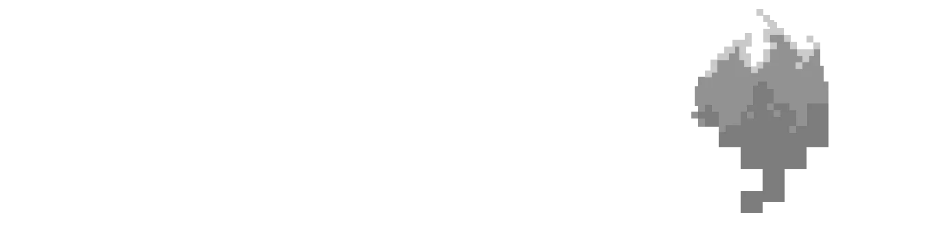 Campfyr